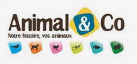 Logo Animal & Co