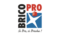 Logo Brico Pro