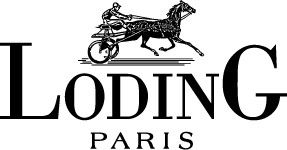 Logo Loding