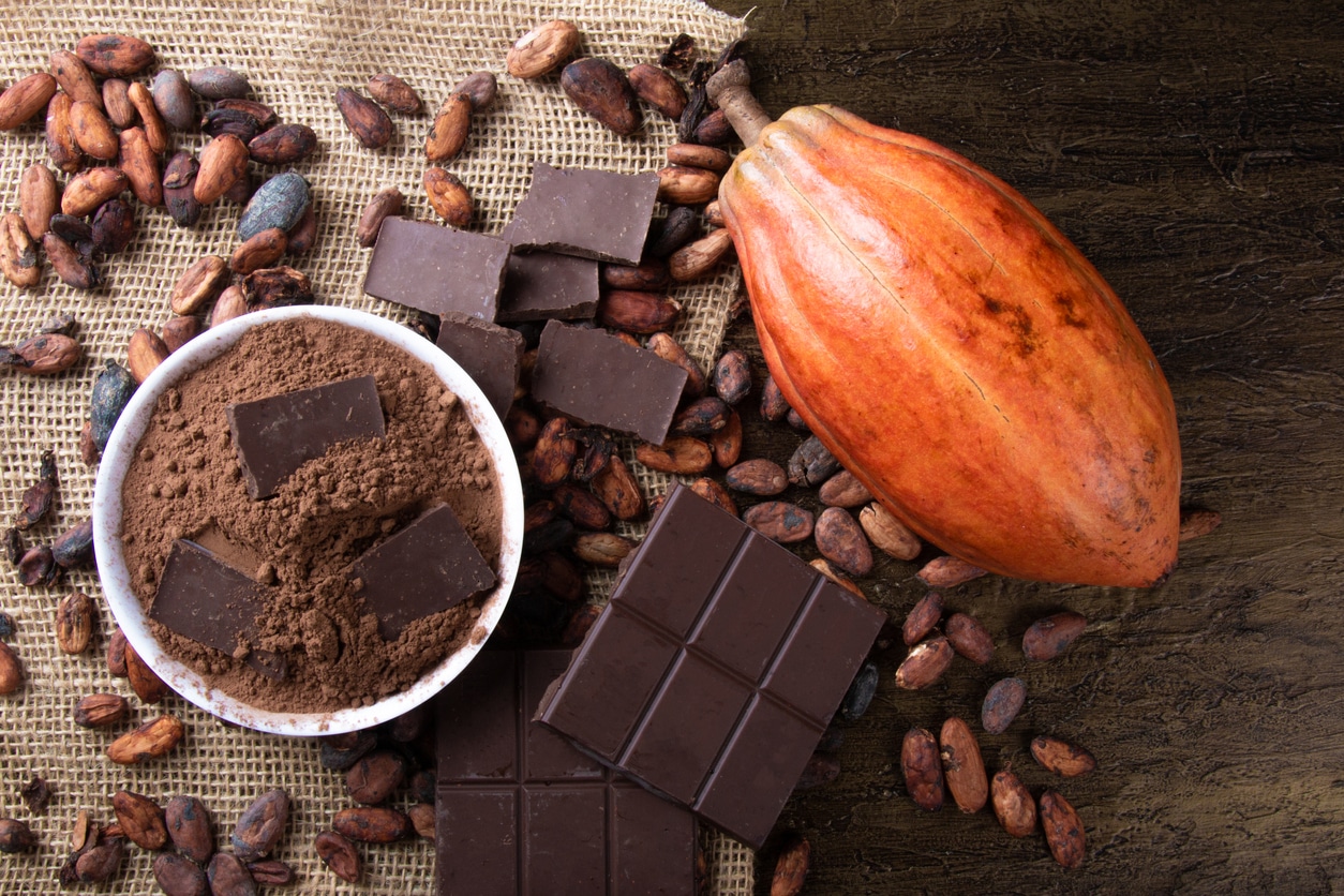 Les mystères du chocolat : un délice pour les sens (mais pas que)