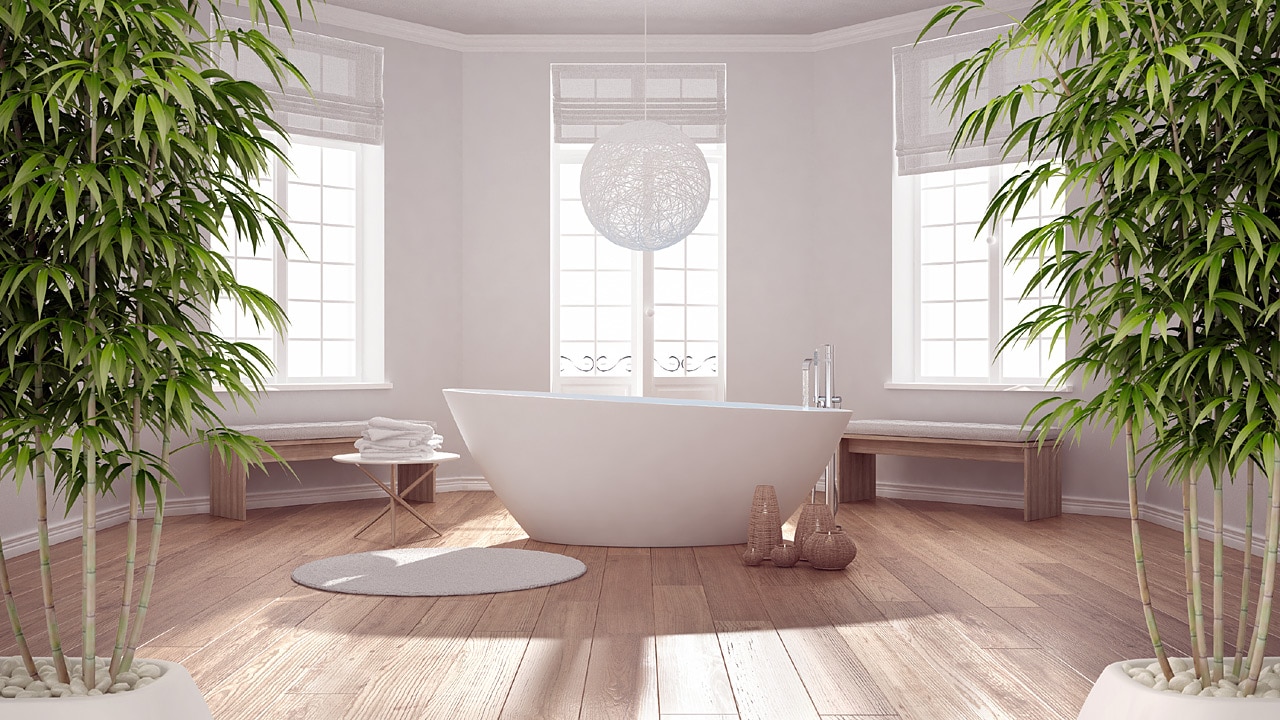 Plantes pour Salle de bain : notre top 6