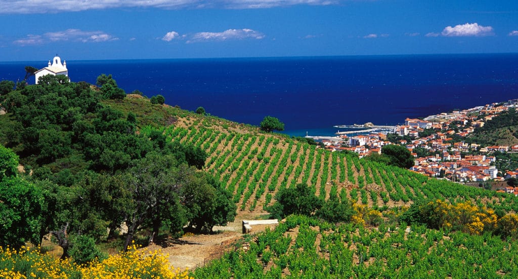Collioure, l'une des meilleures appellations méconnues de France