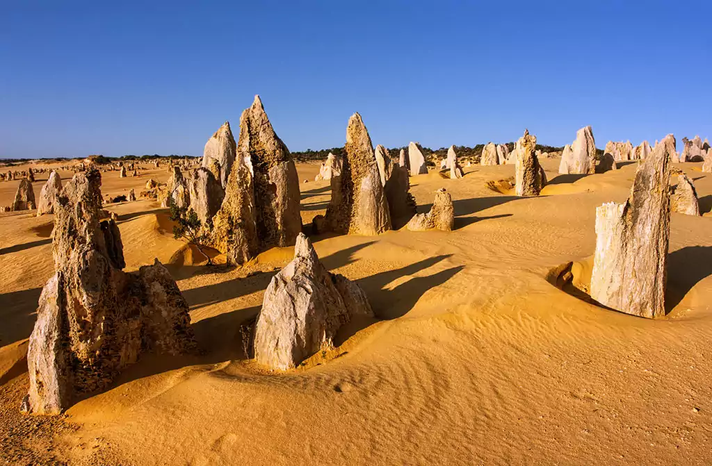 Désert des Pinnacles, Australie