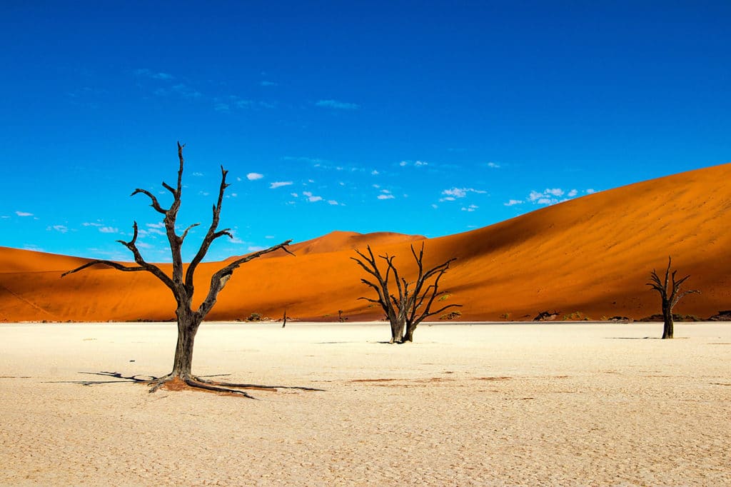 Désert de Sossusvlei, en Namibie