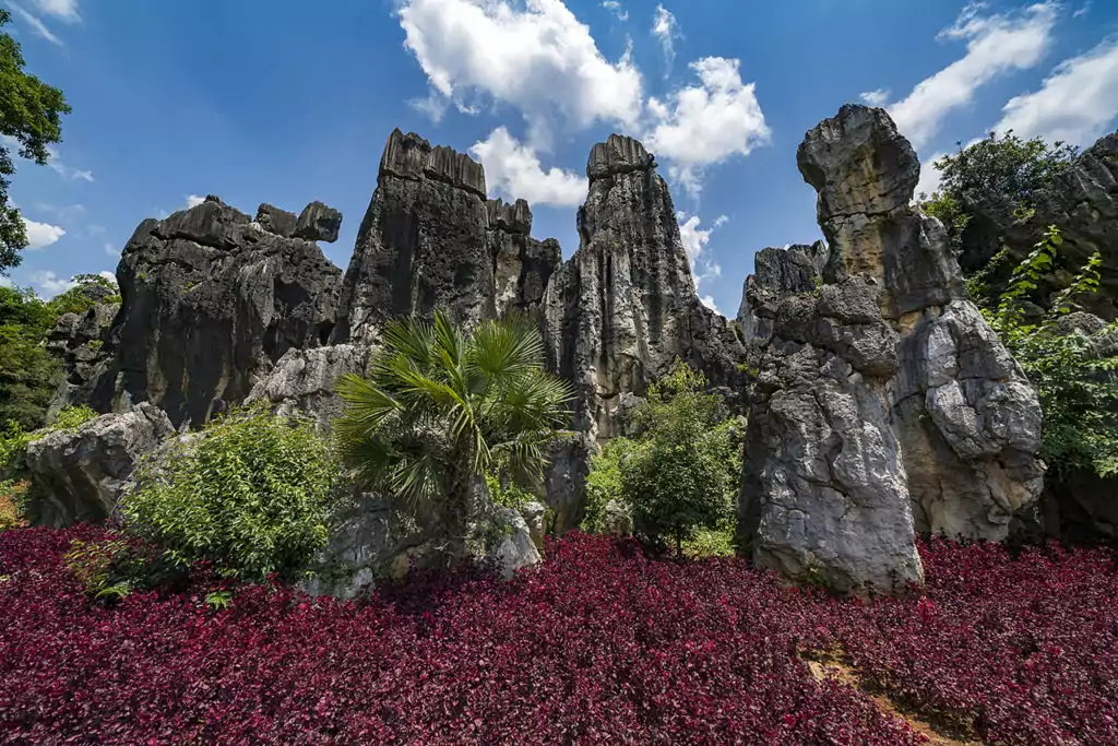 Stone Forest, en Chine