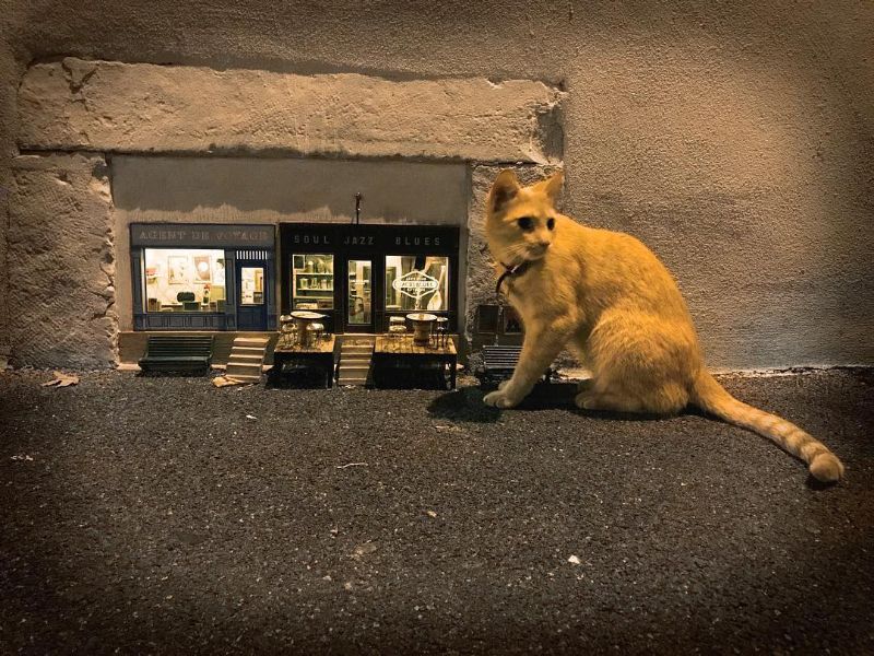 Anonymouse, le street-art pour les souris qui plait aussi aux chats