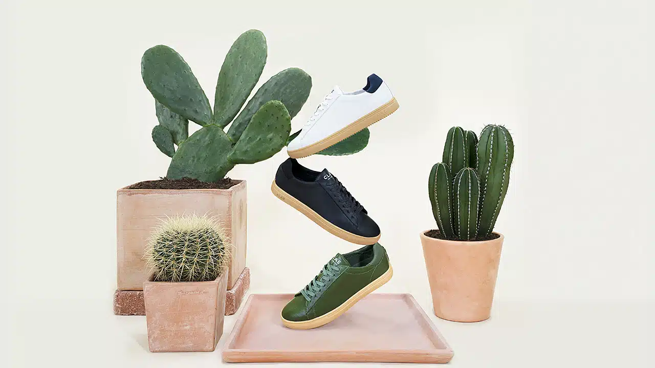 Des sneakers en cuir de cactus avec Clae !