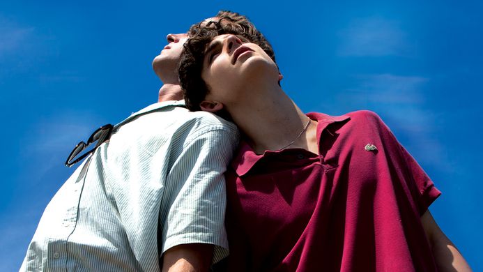 critique call me by your name