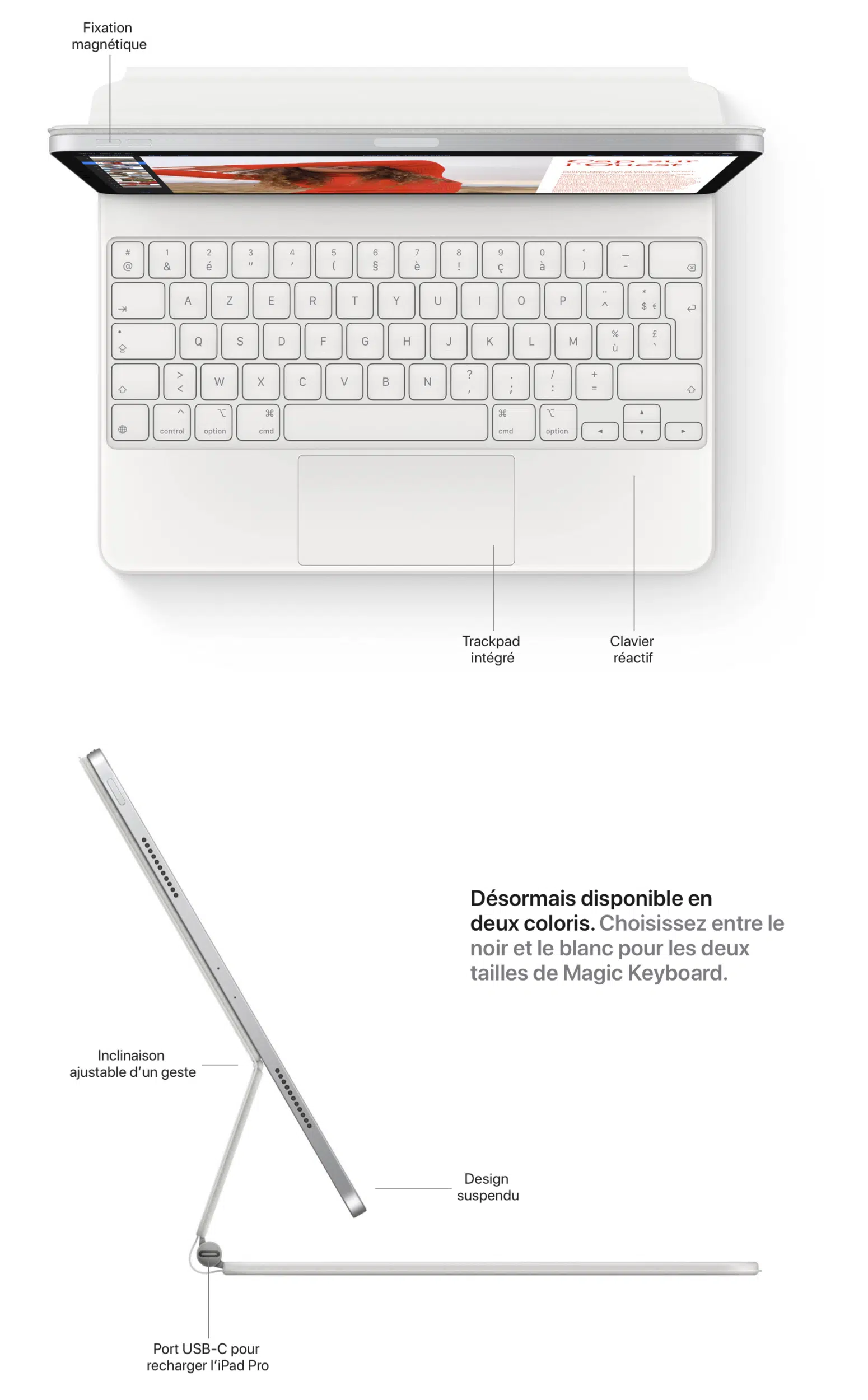 Apple Magic Keyboard Blanc