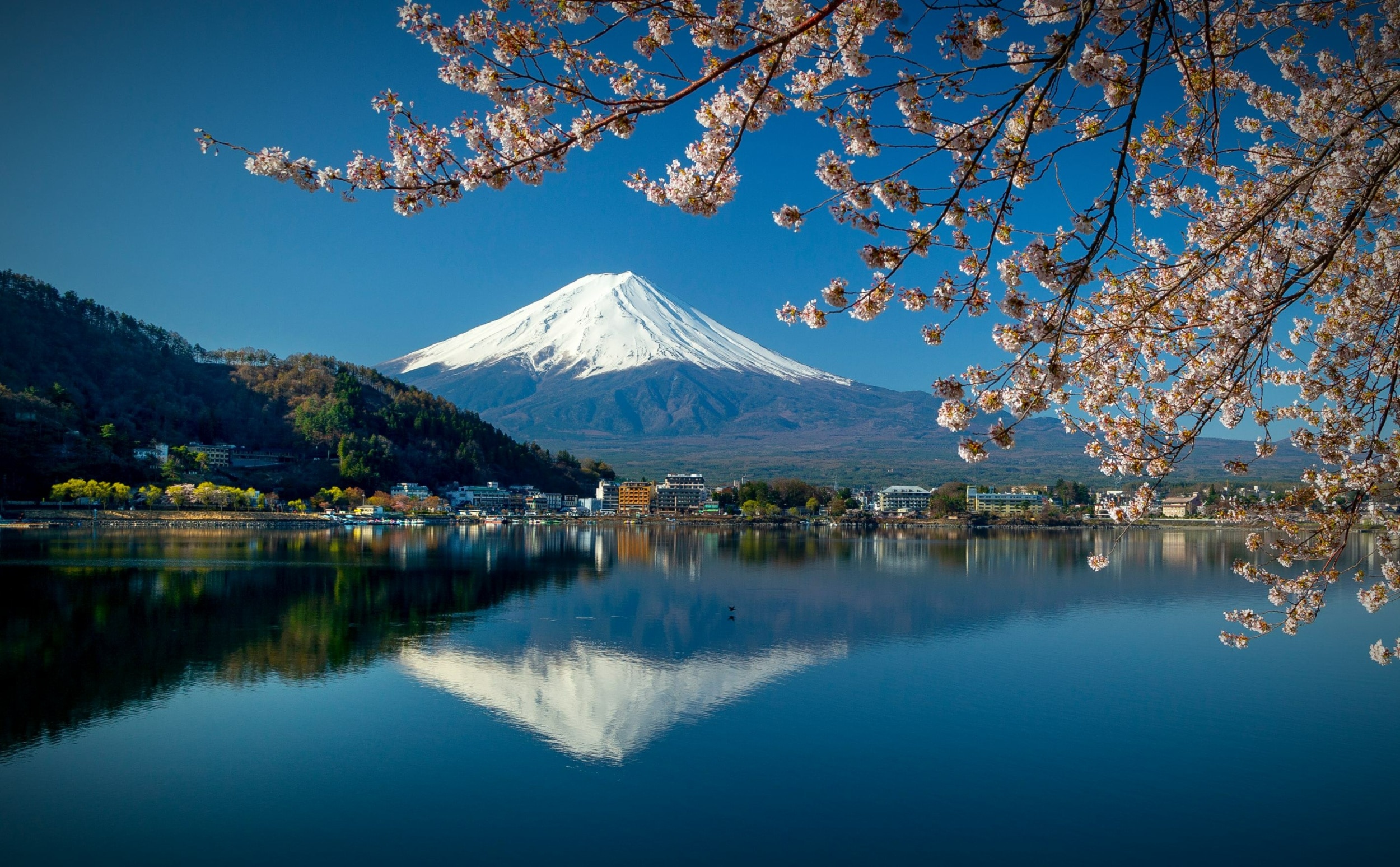 Des parfums pour homme inspirés du Japon