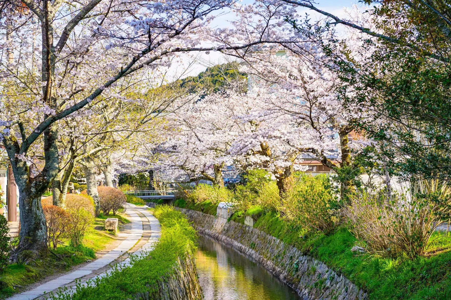 Las calles más bonitas del mundo Camino de los filósofos Kioto