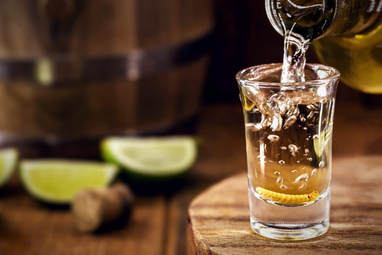 On ne boit pas que de la tequila au Mexique : il est temps de découvrir le mezcal !