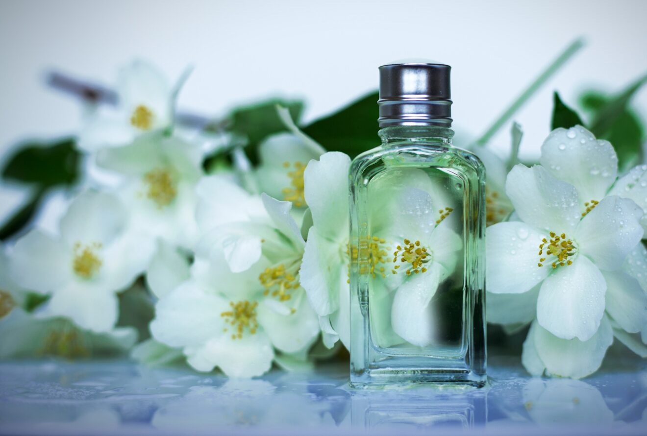 Ces 7 parfums pour homme qui osent le jasmin et que vous devriez découvrir