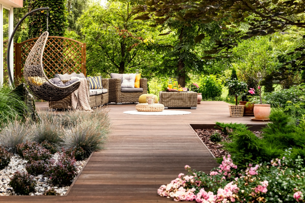 Les meilleures plantes pour sublimer les murs de votre jardin, terrasse ou balcon