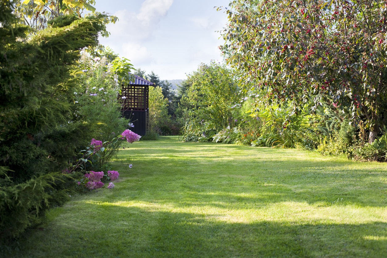Transformez votre jardin en paradis : 5 astuces d'entretien à connaître absolument cet été