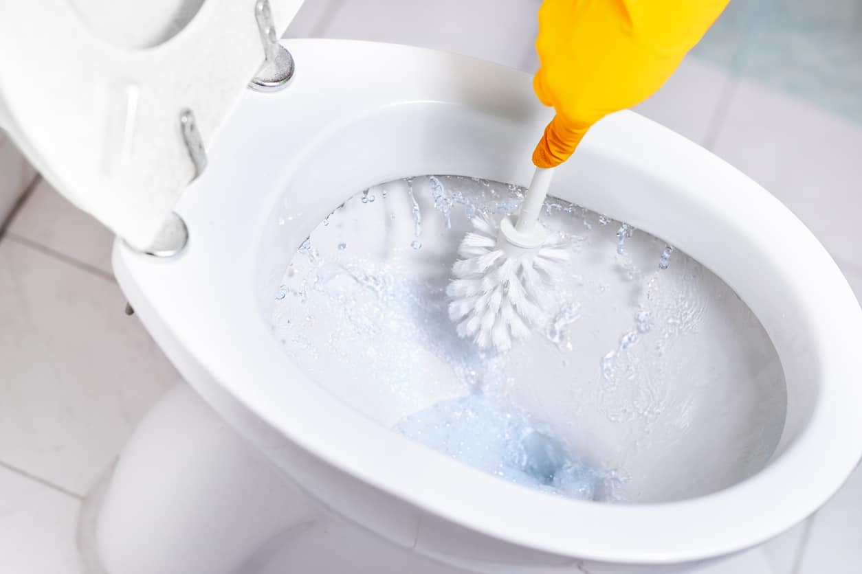 Bref WC Blue Activ' Hygiène – 1 bloc WC (50g) – Nettoyant WC Eau
