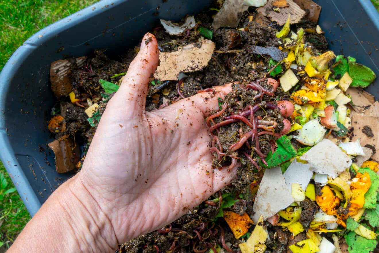 Les 7 conseils indispensables pour un compost parfait en préparation du printemps