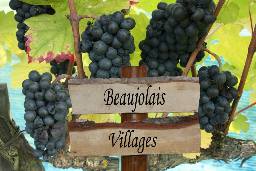 Beaujolais et Beaujolais Villages : un vin, deux appellations