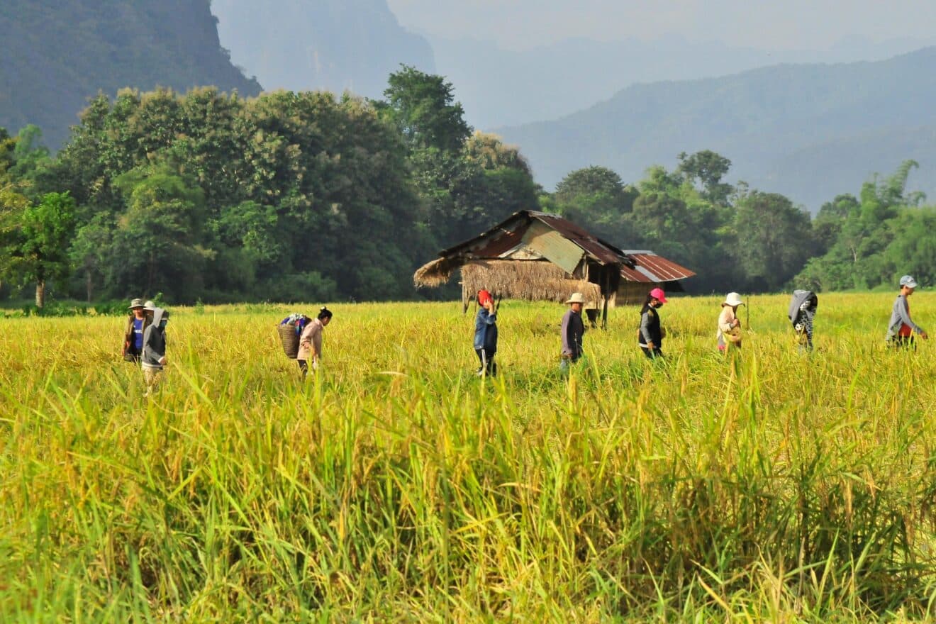 Laos : Les 5 merveilles à ne pas manquer au cœur de l'Asie du Sud-Est