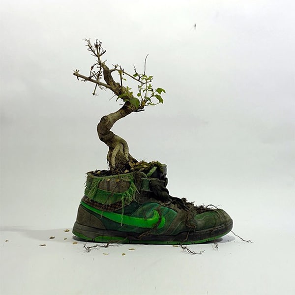 Les sneakers végétales de Mr PLANT