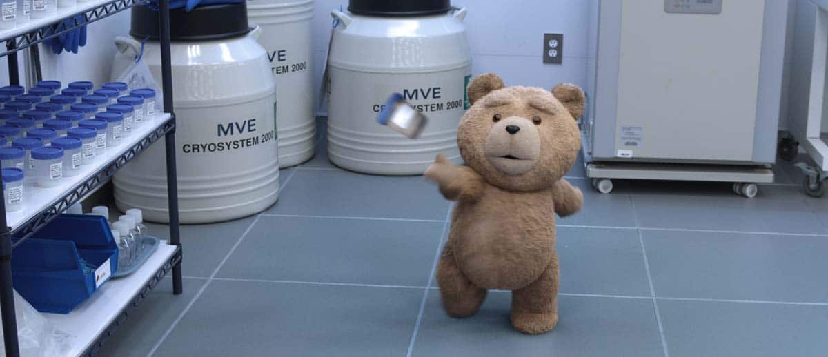 Ted, l'ours le plus mal léché du monde est de retour au cinéma