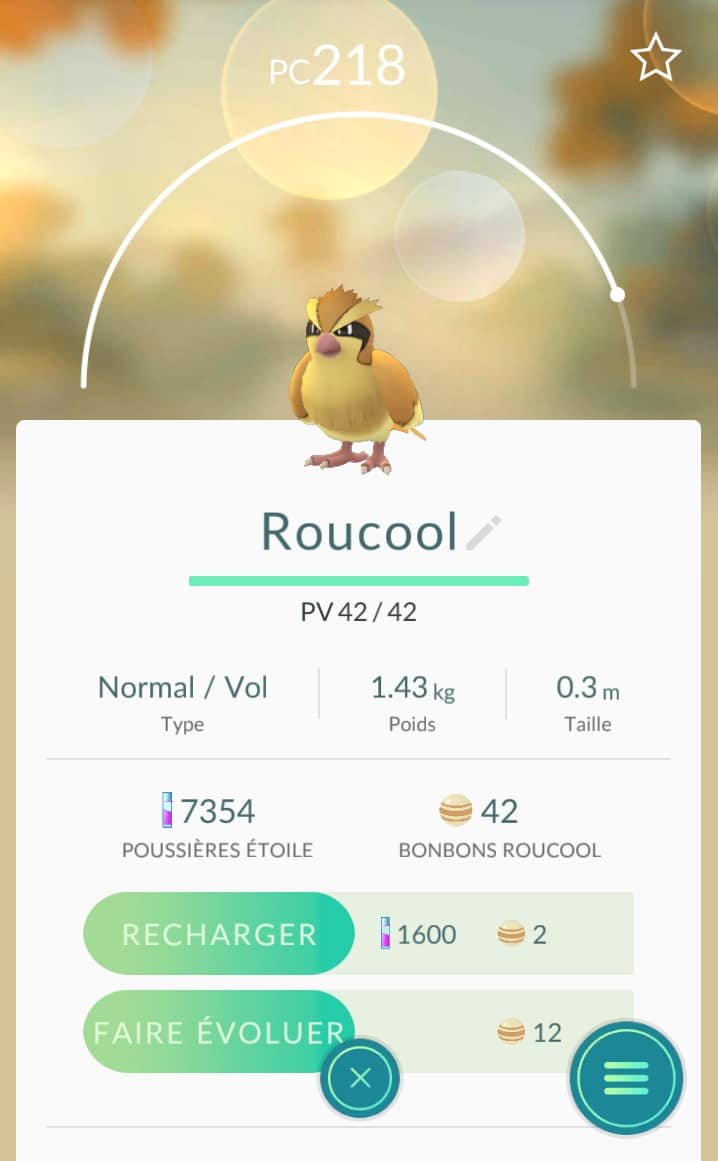Roucool, le Pokemon le moins rare