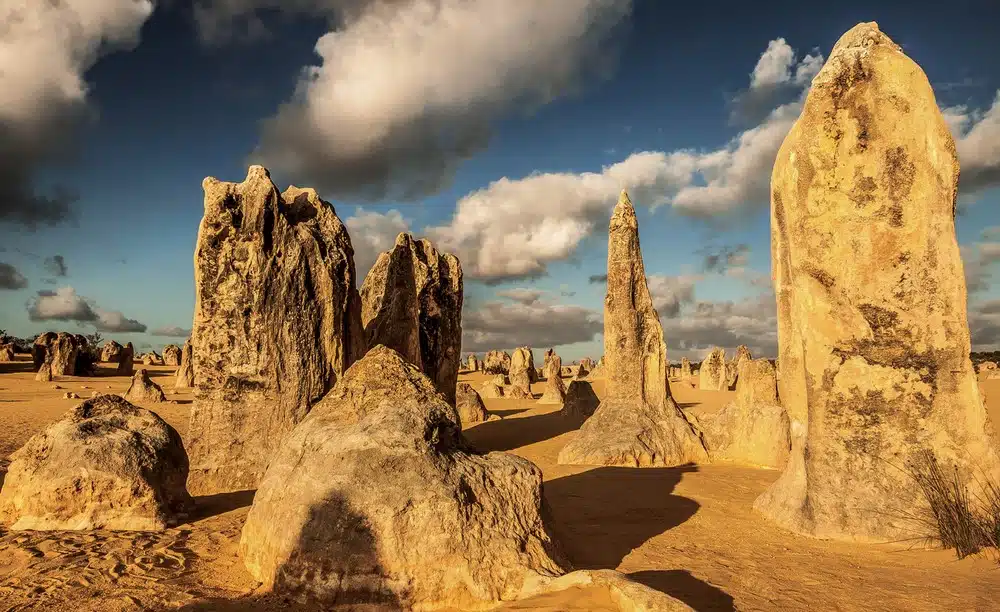 Plus beaux paysages du monde - Pinnacles Desert