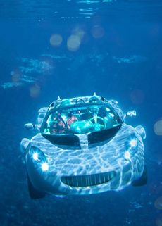 sQuba Rinspeed